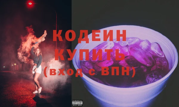 дживик Бронницы