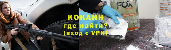 дживик Бронницы