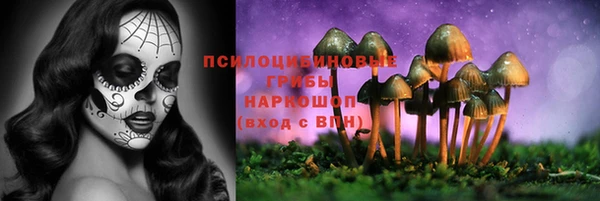 ALPHA-PVP Бородино