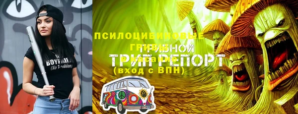 дживик Бронницы