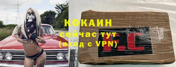 дживик Бронницы