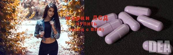 дживик Бронницы
