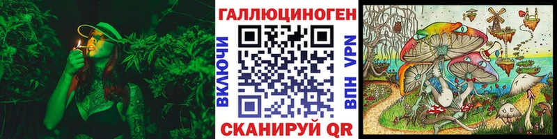 что такое Вихоревка Галлюциногенные грибы Magic Shrooms